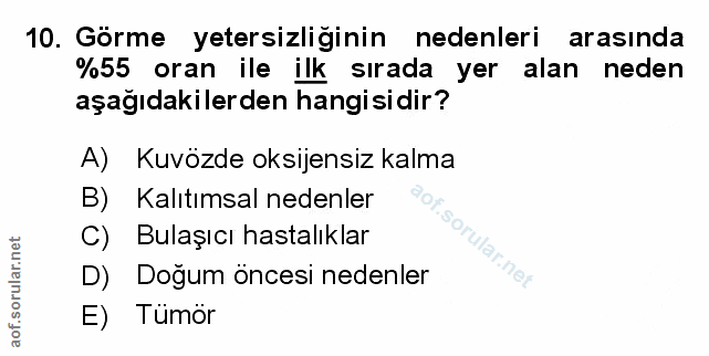 Soru 10