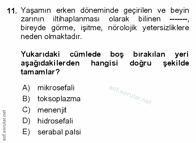 Soru 11