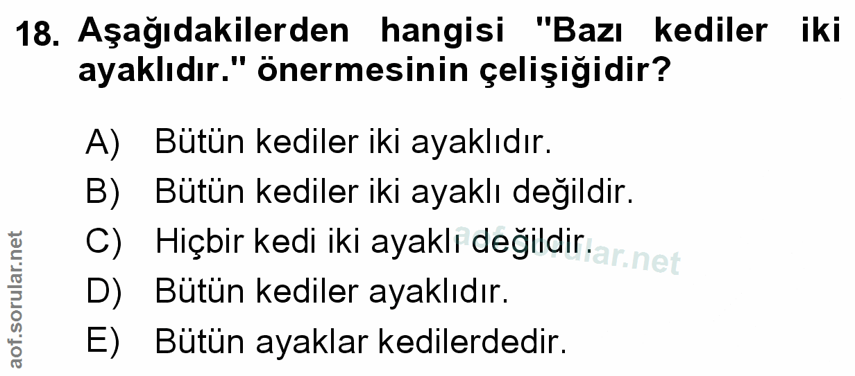 Soru 18