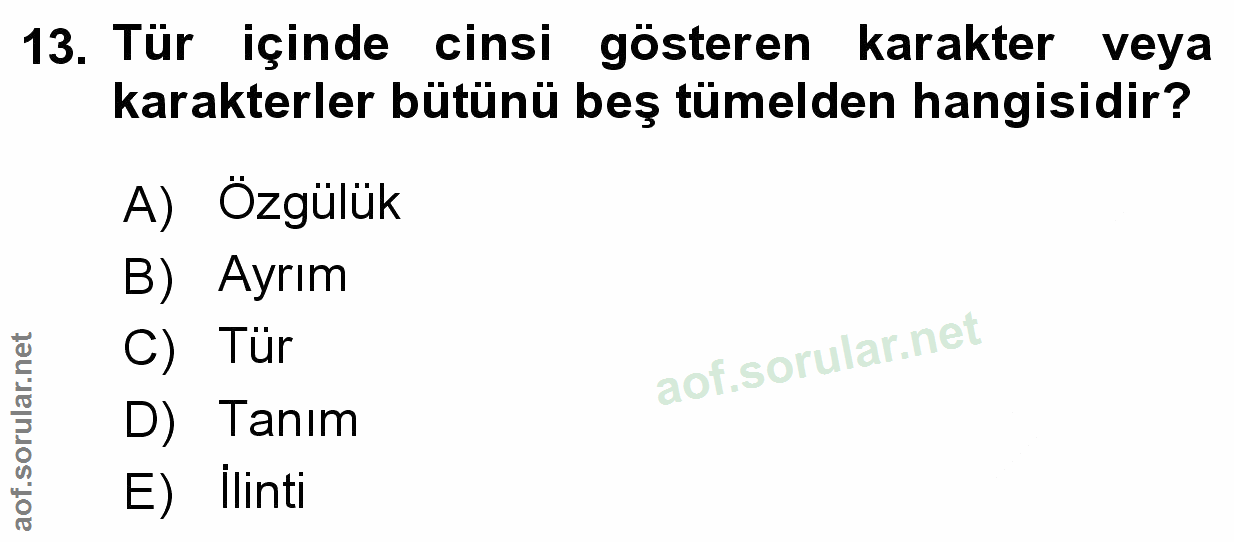 Soru 13