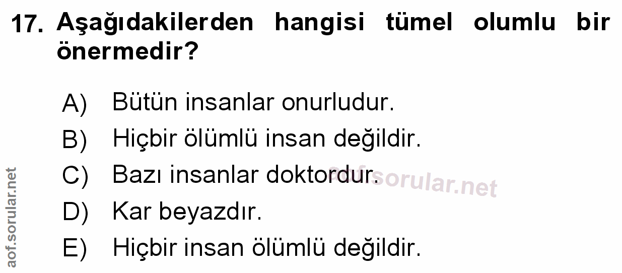 Soru 17