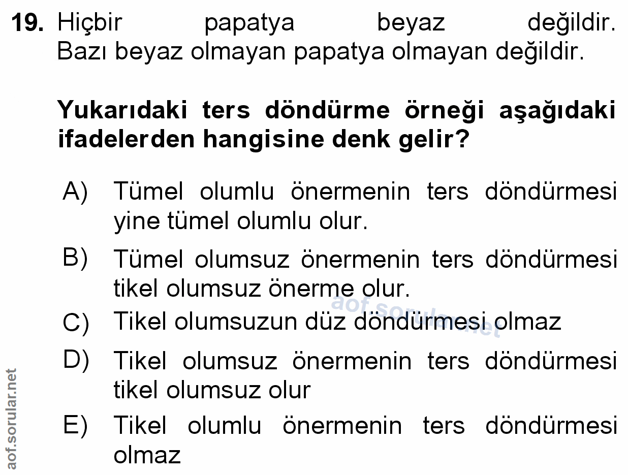 Soru 19