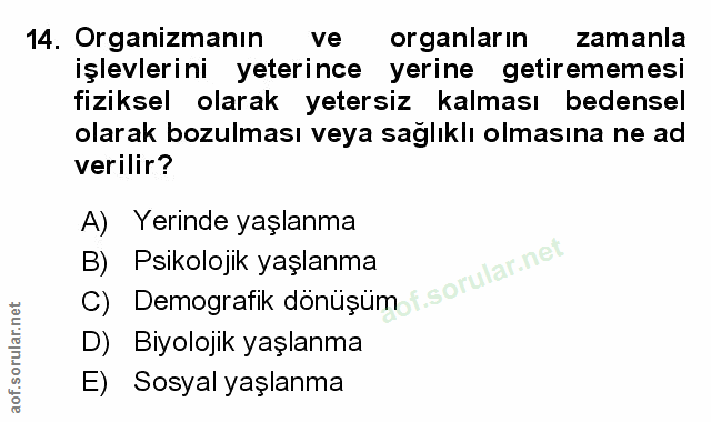 Soru 14