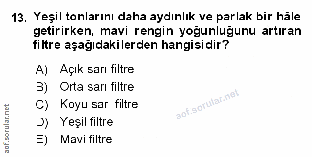 Soru 13
