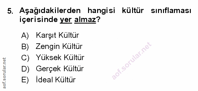 Soru 5