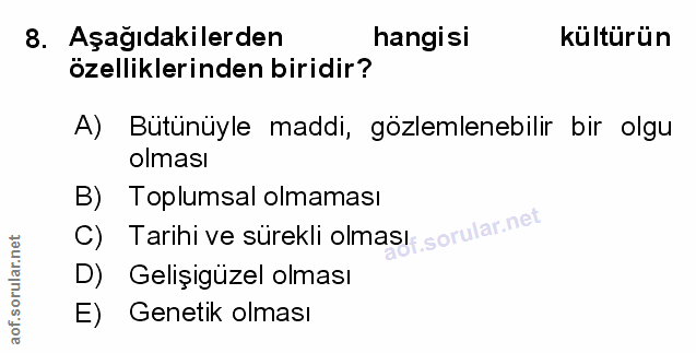 Soru 8