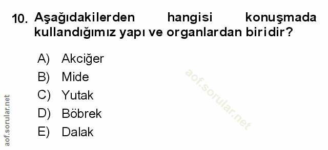 Soru 10