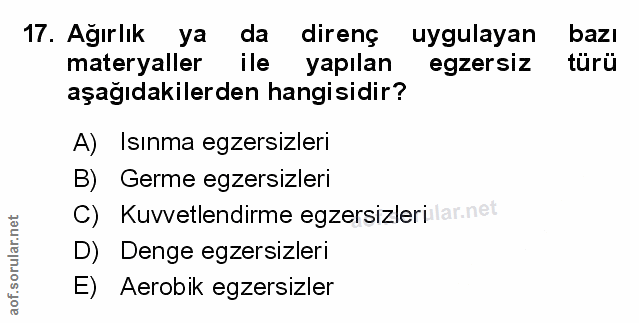 Soru 17