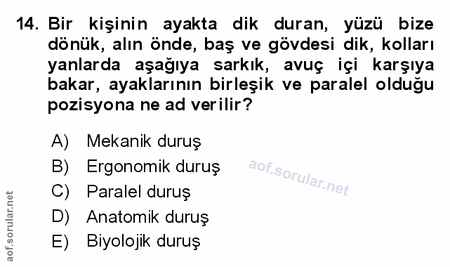 Soru 14
