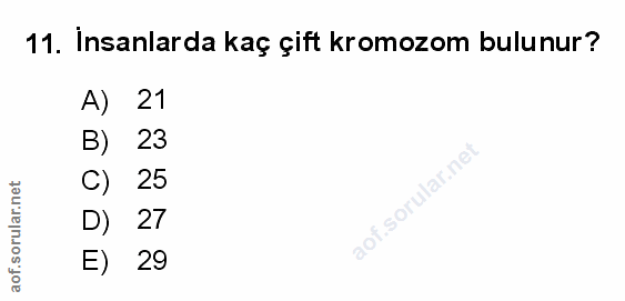 Soru 11