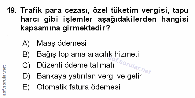 Soru 19