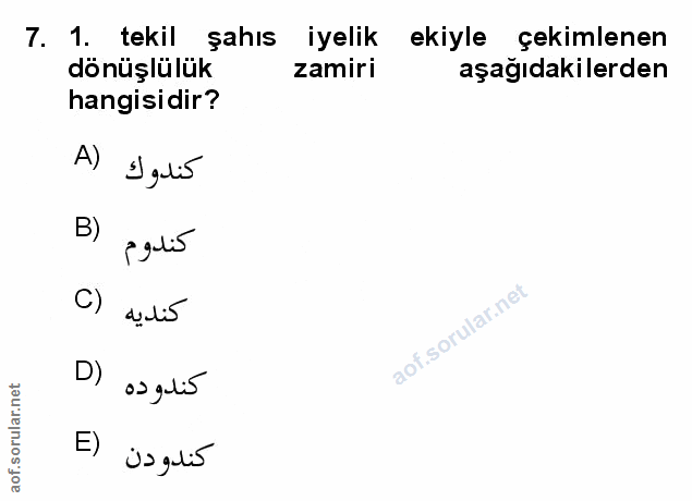 Soru 7