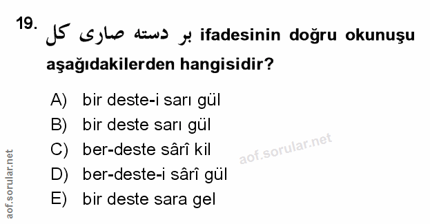 Soru 19