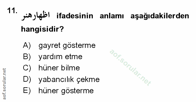 Soru 11
