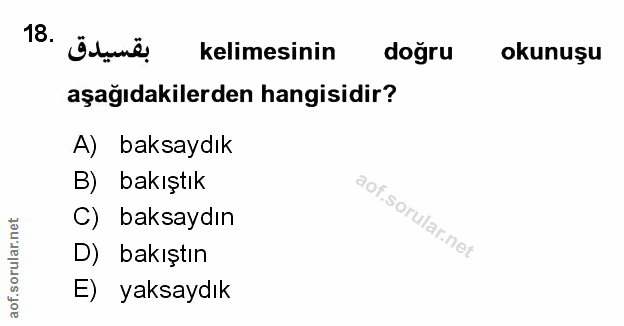 Soru 18