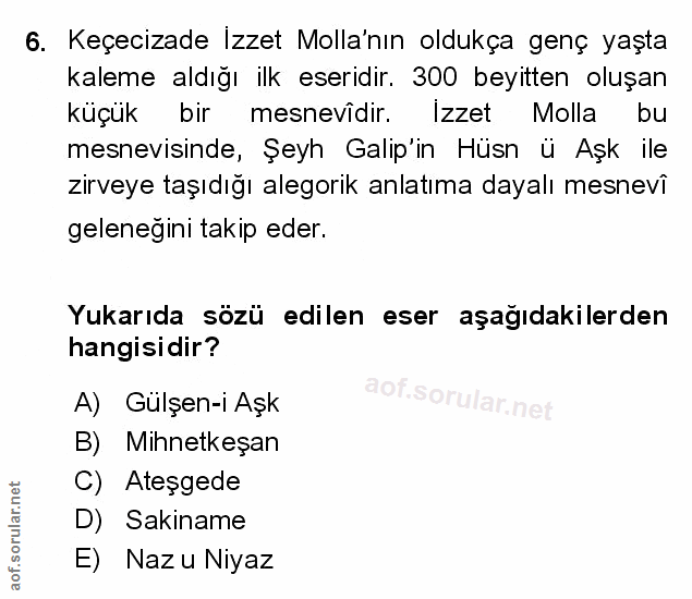 Soru 6