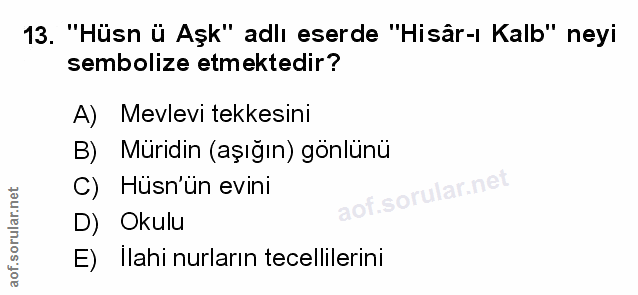 Soru 13