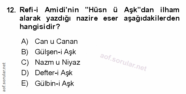 Soru 12