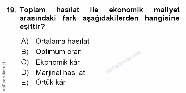 Soru 19