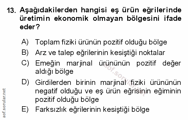 Soru 13