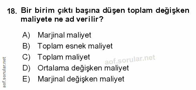 Soru 18