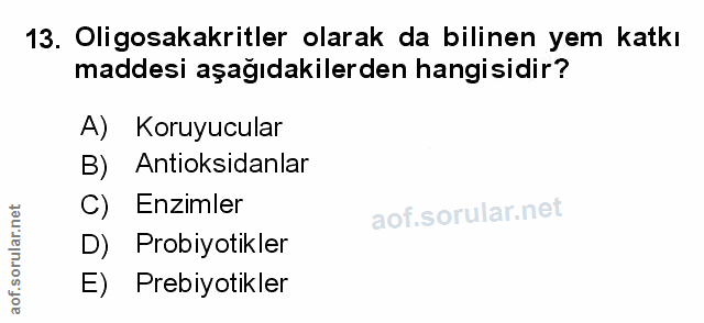 Soru 13