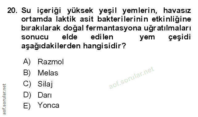 Soru 20