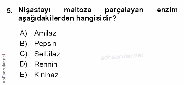 Soru 5