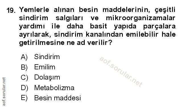 Soru 19