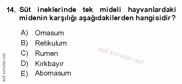 Soru 14