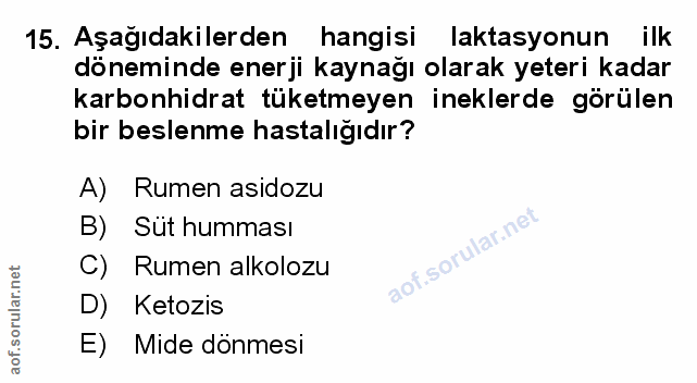 Soru 15