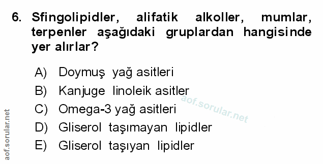 Soru 6