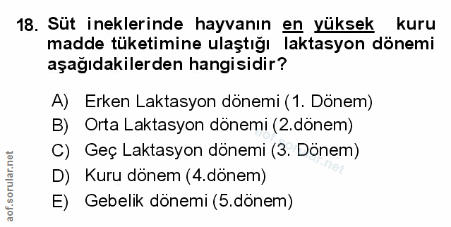 Soru 18