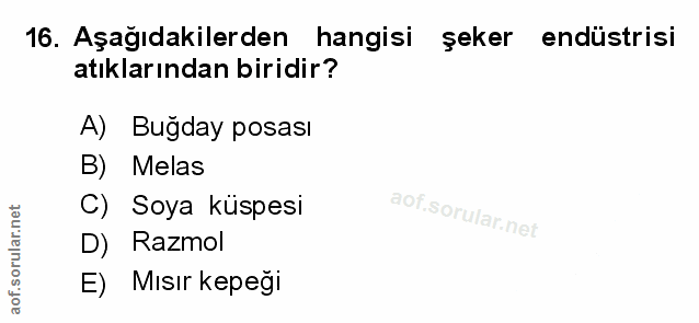 Soru 16