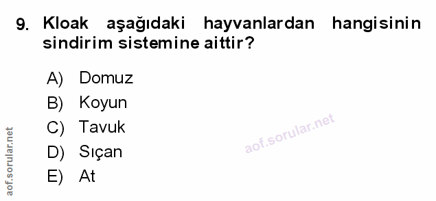 Soru 9