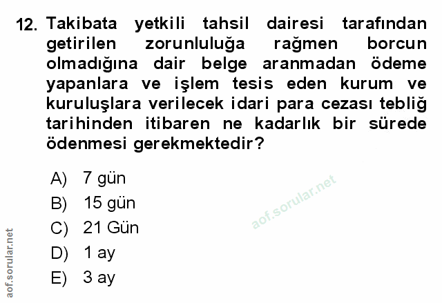 Soru 12