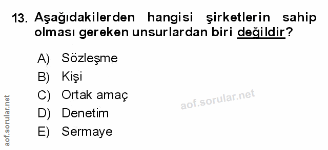 Soru 13