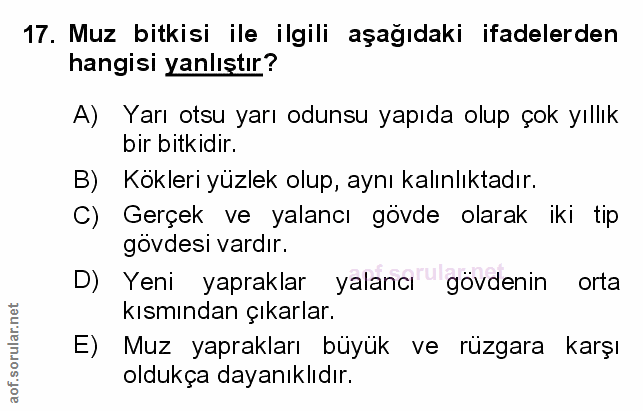 Soru 17