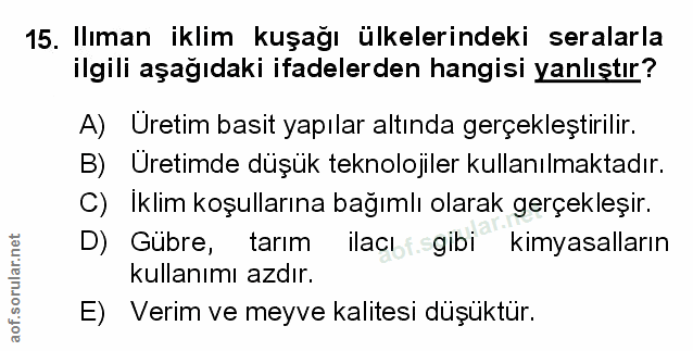 Soru 15