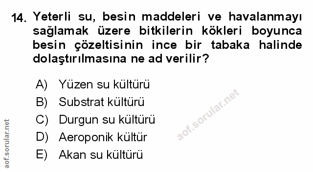 Soru 14