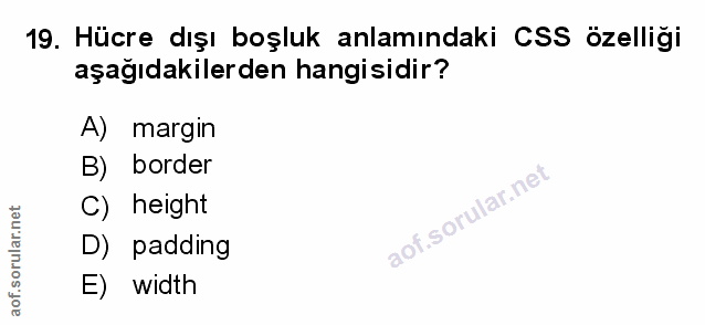 Soru 19