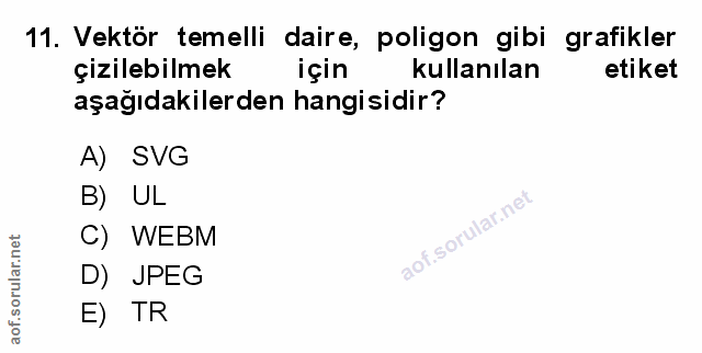 Soru 11