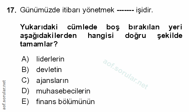 Soru 17