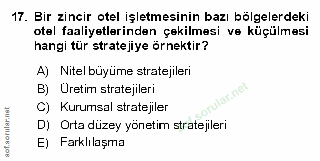 Soru 17