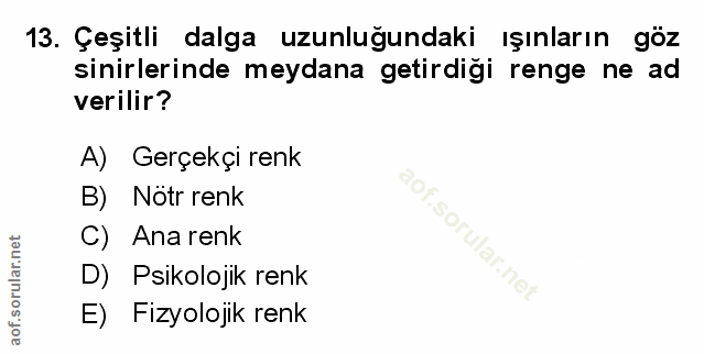 Soru 13