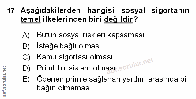 Soru 17