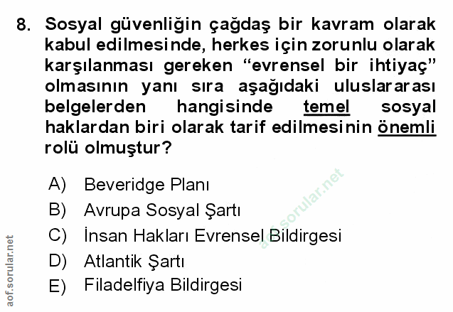 Soru 8