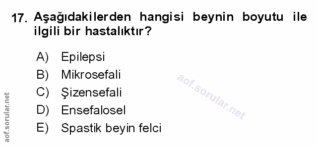 Soru 17