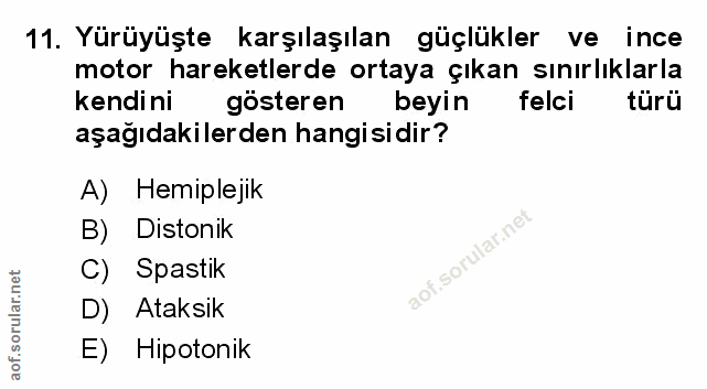 Soru 11