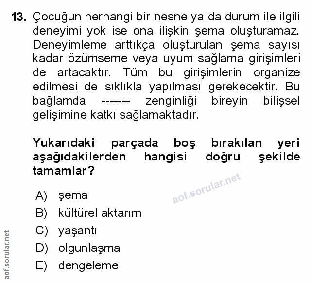 Soru 13